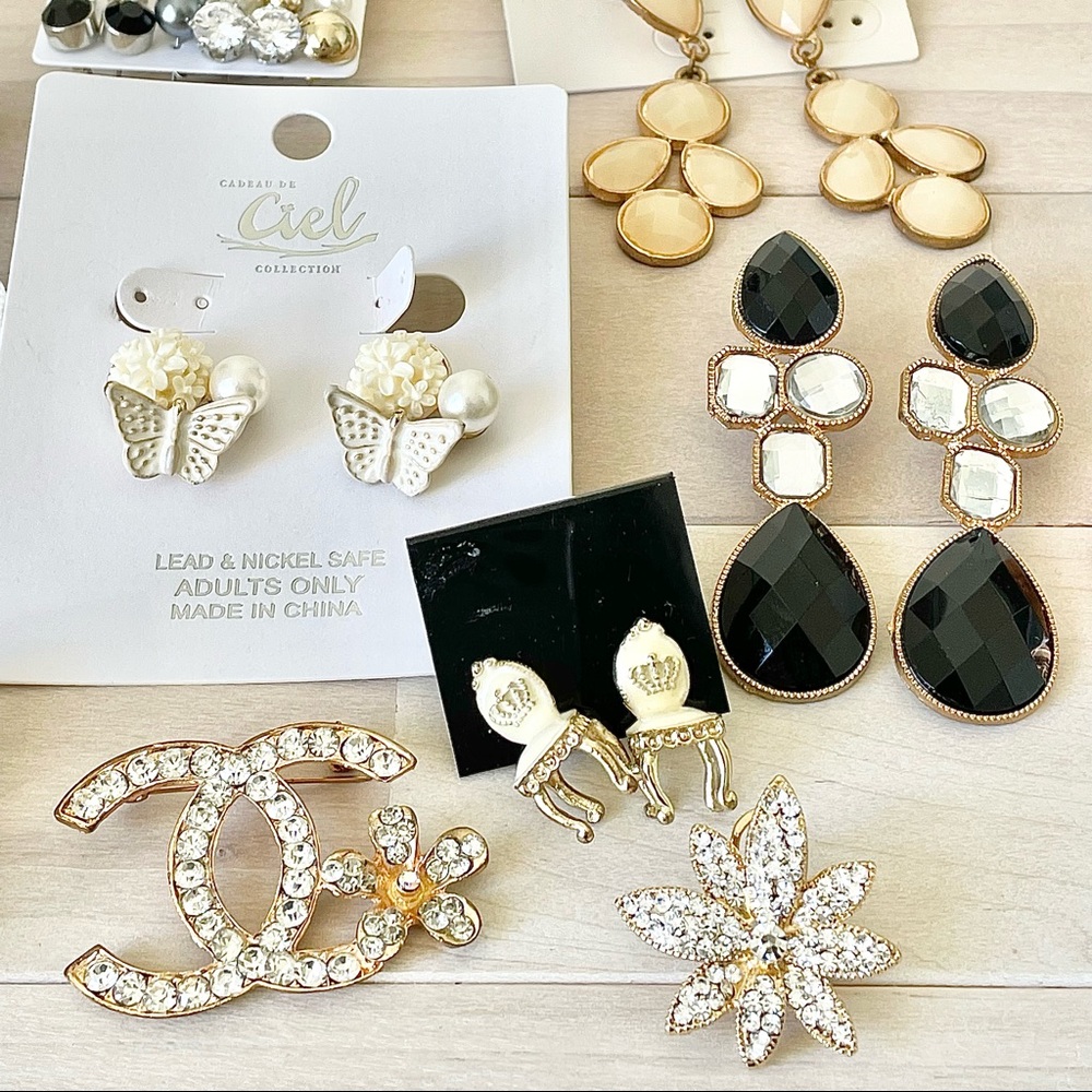 Lot of jewelries-necklaces, earrings, pins
